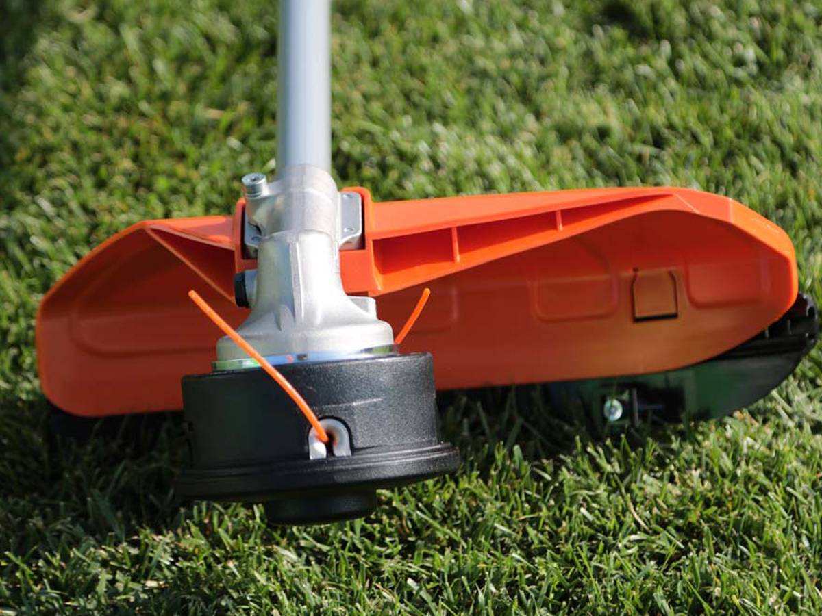 Immagine del prodotto