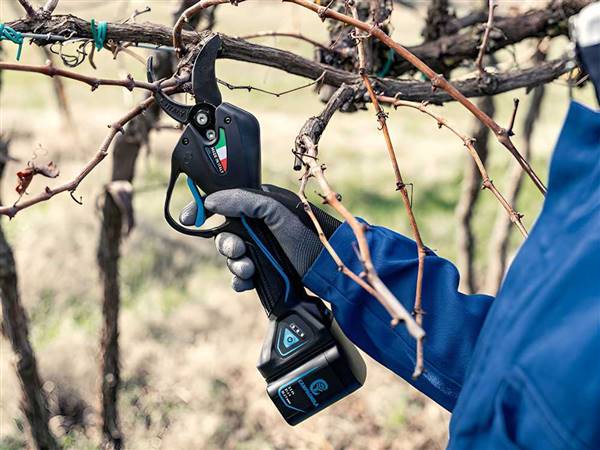 Immagine del prodotto